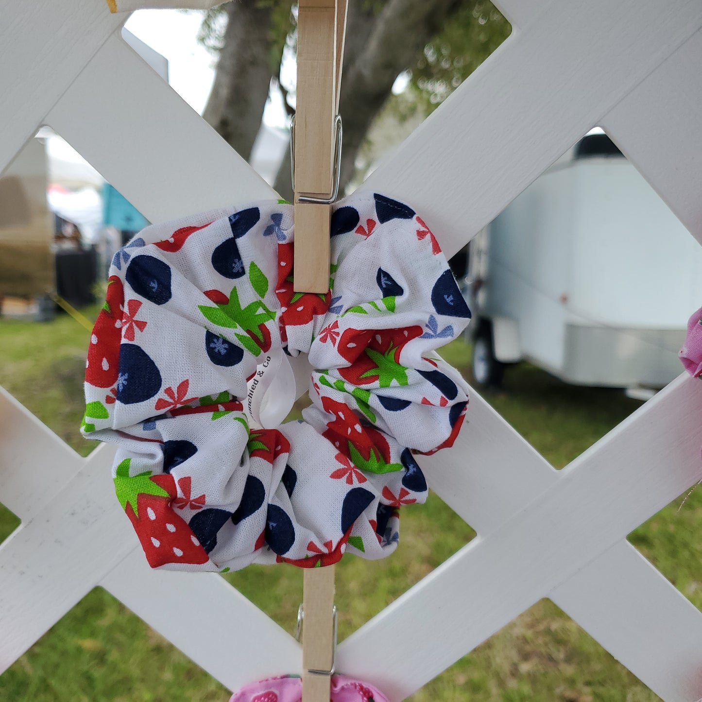Strawberries and Blueberries