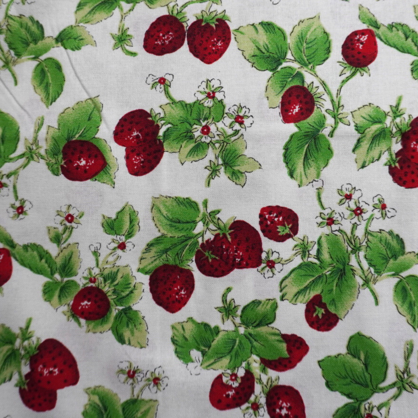 Strawberry Garden Fabric