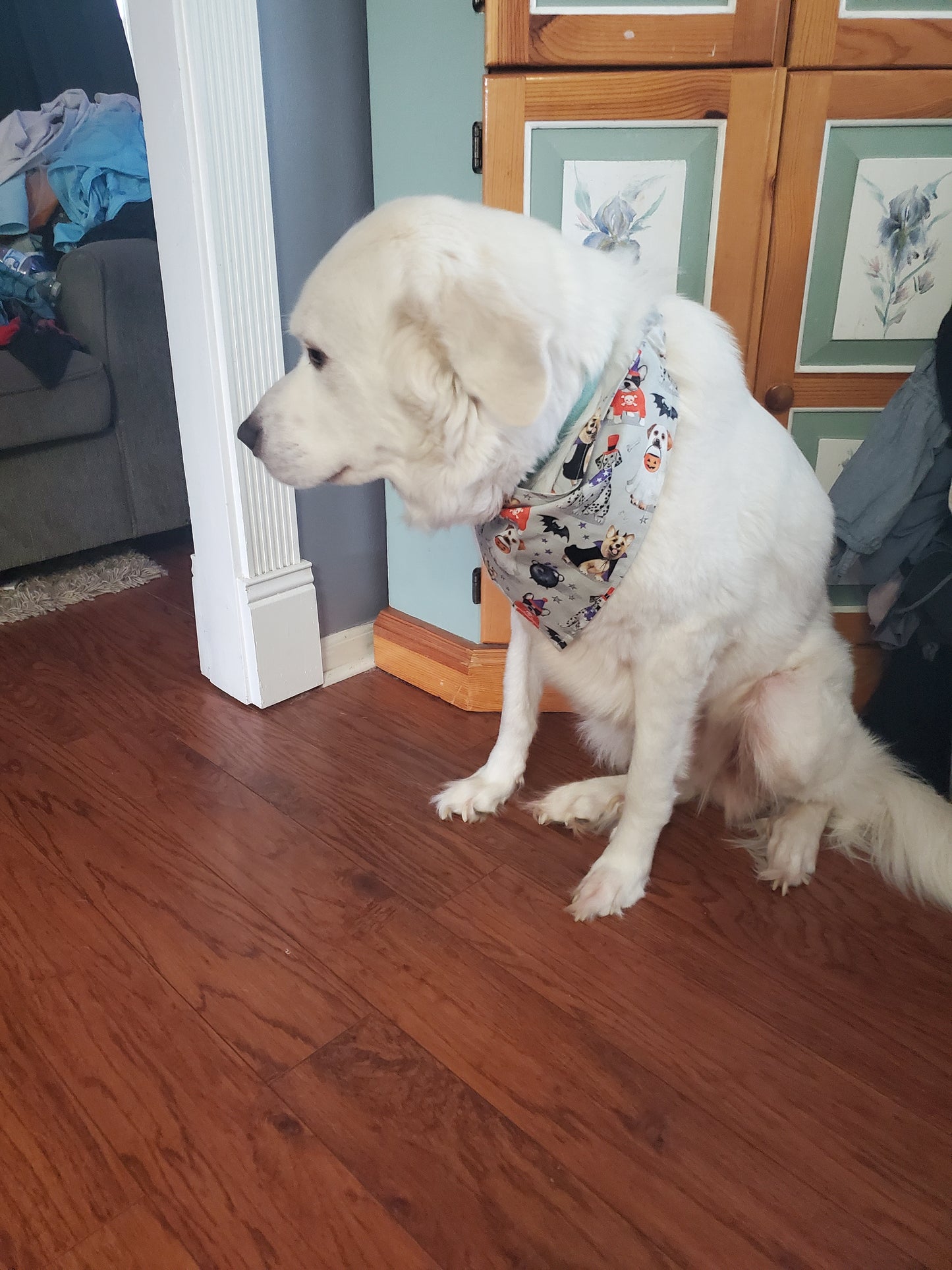 Custom Puppy Bandana