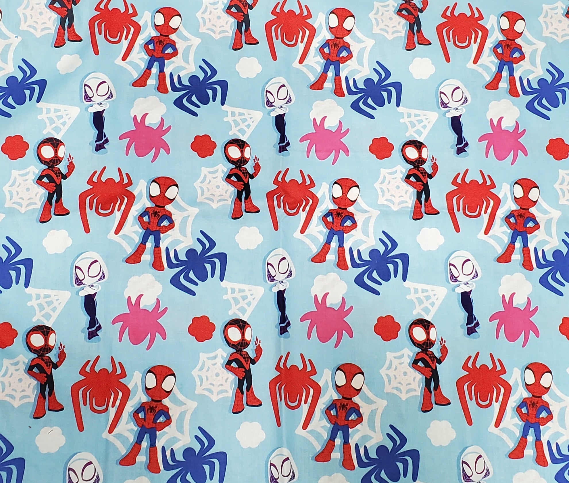 Spidey and His Amazing Friends