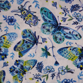 Blue Butterfly