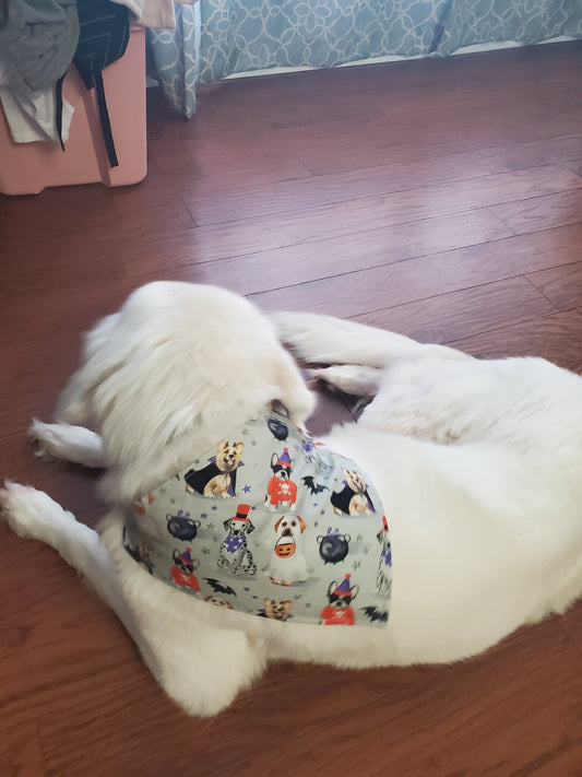 Custom Puppy Bandana